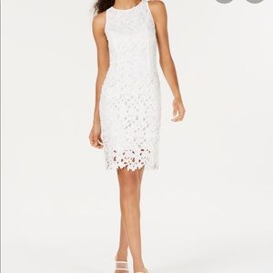 Bar III Lace Dress
